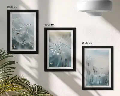 Paveikslų rinkinys su rėmais trys dalys su rasos lašais ant gležnų kiaulpienių