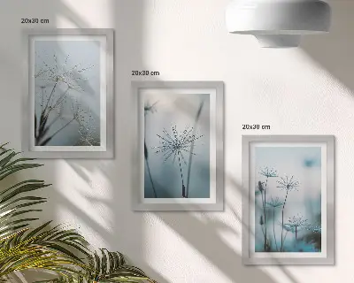 Įrėmintų paveikslų rinkinys subtilūs kiaulpienės žiedai su vandens lašeliais
