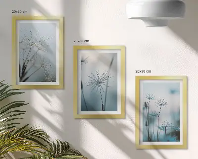 Įrėmintų paveikslų rinkinys subtilūs kiaulpienės žiedai su vandens lašeliais