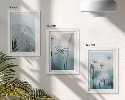 Įrėmintų paveikslų rinkinys subtilūs kiaulpienės žiedai su vandens lašeliais