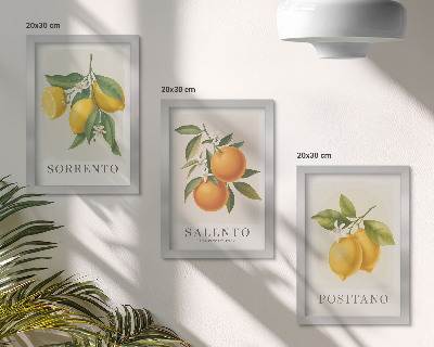 Įrėmintų paveikslų rinkinys Citrinos ir apelsinai iš Italijos Amalfio pakrantės