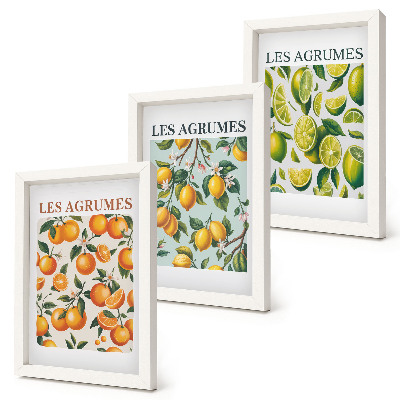 3 paveikslų rinkinys su rėmais Vaisių citrusinių vaisių raštai pastelinėmis spalvomis