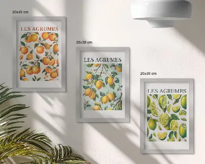 3 paveikslų rinkinys su rėmais citrusinių vaisių raštai pastelinėmis spalvomis