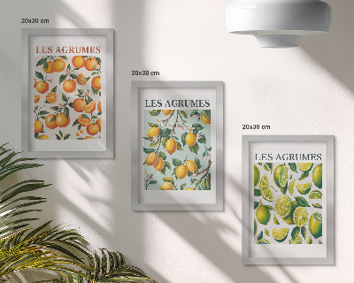 3 paveikslų rinkinys su rėmais Vaisių citrusinių vaisių raštai pastelinėmis spalvomis