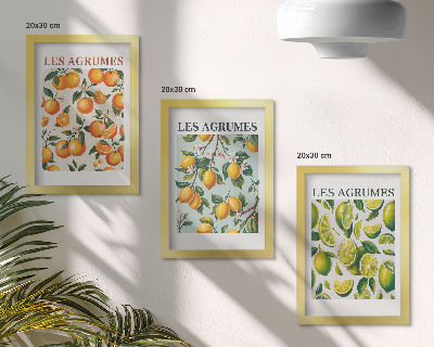 3 paveikslų rinkinys su rėmais Vaisių citrusinių vaisių raštai pastelinėmis spalvomis