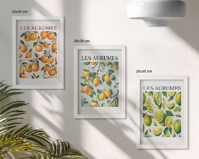3 paveikslų rinkinys su rėmais Vaisių citrusinių vaisių raštai pastelinėmis spalvomis