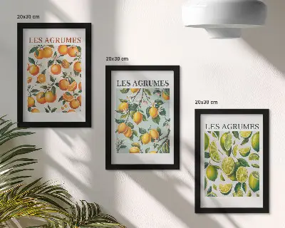 3 paveikslų rinkinys su rėmais citrusinių vaisių raštai pastelinėmis spalvomis