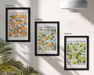 3 paveikslų rinkinys su rėmais Vaisių citrusinių vaisių raštai pastelinėmis spalvomis