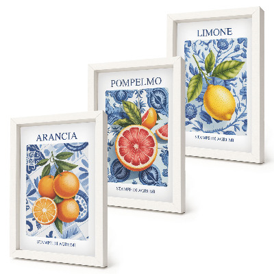 3 paveikslų rinkinys su rėmais Vintažinių citrusinių vaisių iliustracijos
