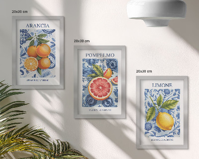 3 paveikslų rinkinys su rėmais Vintažinių citrusinių vaisių iliustracijos