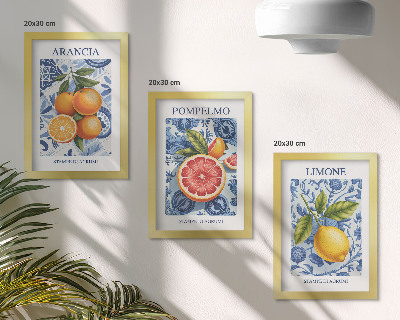 3 paveikslų rinkinys su rėmais Vintažinių citrusinių vaisių iliustracijos