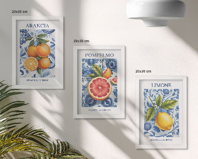 3 paveikslų rinkinys su rėmais Vintažinių citrusinių vaisių iliustracijos