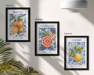 3 paveikslų rinkinys su rėmais Vintažinių citrusinių vaisių iliustracijos