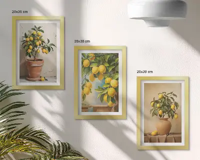 Citrinmedžiai vazonuose ir vazose 3 paveikslų rinkinys su rėmais