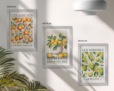 Įrėmintų paveikslų rinkinys Citrusiniai vaisiai įvairiomis spalvingomis ir šviežiomis versijomis