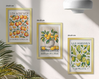 Įrėmintų paveikslų rinkinys Citrusiniai vaisiai įvairiomis spalvingomis ir šviežiomis versijomis