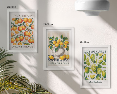 Įrėmintų paveikslų rinkinys Citrusiniai vaisiai įvairiomis spalvingomis ir šviežiomis versijomis