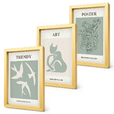 Įrėmintų paveikslų rinkinys su stilingomis Henri Matisse iliustracijomis