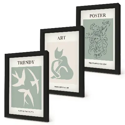 Įrėmintų paveikslų rinkinys su stilingomis Henri Matisse iliustracijomis