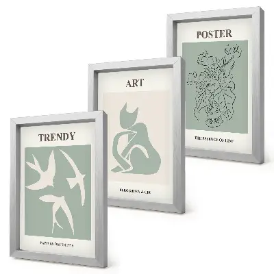 Įrėmintų paveikslų rinkinys su stilingomis Henri Matisse iliustracijomis