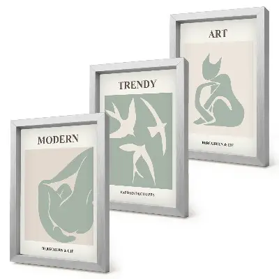 3 paveikslų rinkinys su rėmais abstrakčios Henri Matisse'o figūros prislopintomis spalvomis