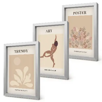 3 paveikslų rinkinys su rėmais abstrakčios formos ir figūros pagal Henri Matisse