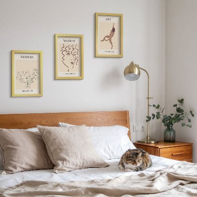 3 paveikslų rinkinys su rėmais Stilinga grafika su gėlėmis, veidais ir žmonių figūromis