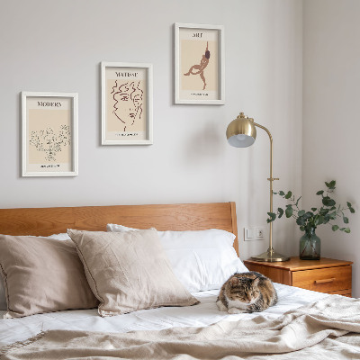 3 paveikslų rinkinys su rėmais Stilinga grafika su gėlėmis, veidais ir žmonių figūromis