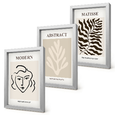 3 paveikslų rinkinys su rėmais Henri Matisse'o grafikos iliustracijos su veidu ir lapais