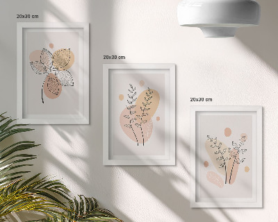 Įrėmintų paveikslų rinkinys Minimalistiniai augalų piešiniai pastelinėmis spalvomis