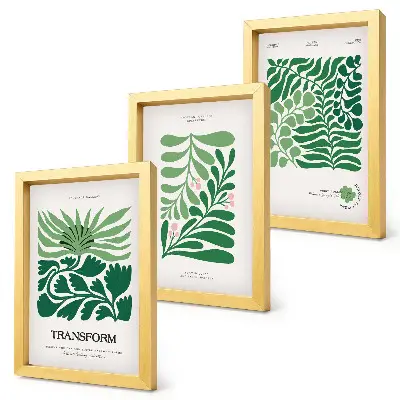 Įrėmintų paveikslų rinkinys žalių lapų ir įvairių formų augalų motyvais