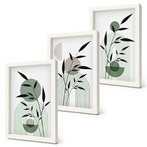 3 paveikslų rinkinys su rėmais Abstrakčios augalų kompozicijos, boho stilius