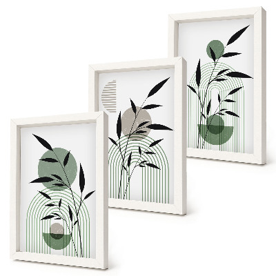 3 paveikslų rinkinys su rėmais Abstrakčios augalų kompozicijos, boho stilius