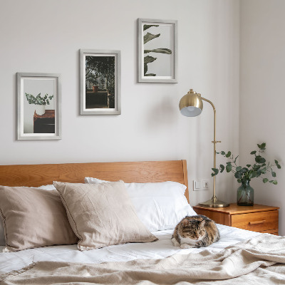 3 paveikslų rinkinys su rėmais Vazoniniai augalai su kaimiškais lapais