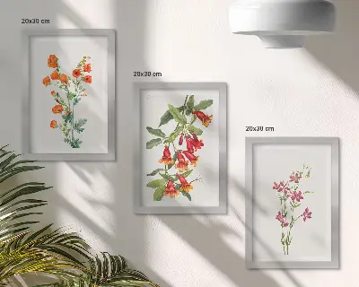 Įrėmintų paveikslų rinkinys vintažinis retro stiliaus gėlių motyvas