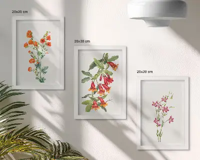 Įrėmintų paveikslų rinkinys vintažinis retro stiliaus gėlių motyvas