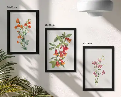 Įrėmintų paveikslų rinkinys vintažinis retro stiliaus gėlių motyvas
