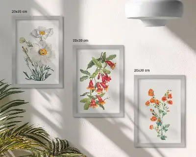 Gėlių kompozicijos retro vintažinis paveikslas 3 paveikslų rinkinys su rėmais