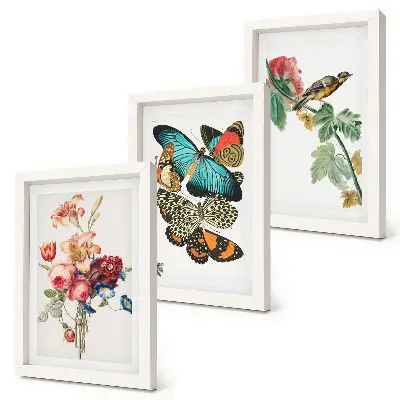 Įrėmintų paveikslų rinkinys su gėlėmis, drugeliais ir paukščiu pasteliniais atspalviais