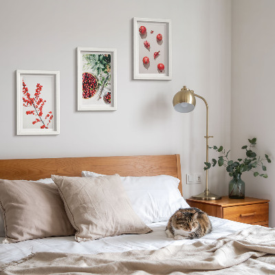 3 paveikslų rinkinys su rėmais Raudoni vaisiai ir augalai minimalistiniu stiliumi