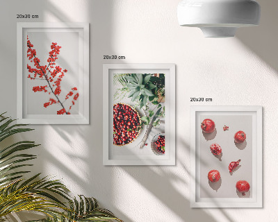 3 paveikslų rinkinys su rėmais Raudoni vaisiai ir augalai minimalistiniu stiliumi