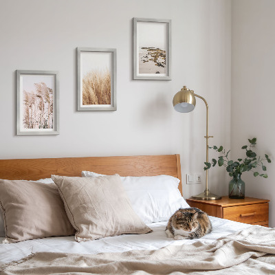 3 paveikslų rinkinys su rėmais Pampų žolės laukai ir bohemiškas paplūdimys