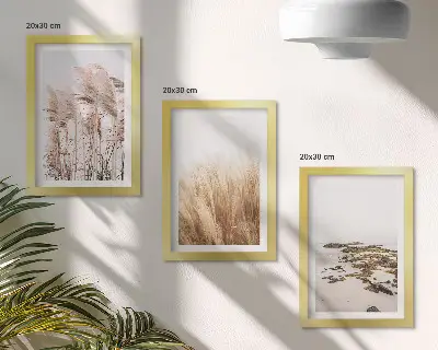 Paveikslų rinkinys „Pampų žolės laukai ir bohemiškas paplūdimys“ su rėmais, 3 dalių
