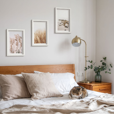 3 paveikslų rinkinys su rėmais Pampų žolės laukai ir bohemiškas paplūdimys