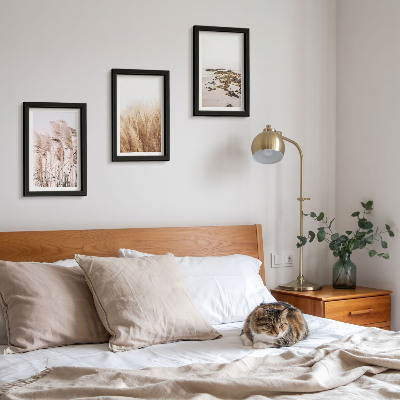 3 paveikslų rinkinys su rėmais Pampų žolės laukai ir bohemiškas paplūdimys