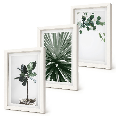 3 paveikslų rinkinys su rėmais Žalieji augalai minimalistiniu stiliumi