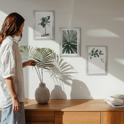 3 paveikslų rinkinys su rėmais Žalieji augalai minimalistiniu stiliumi
