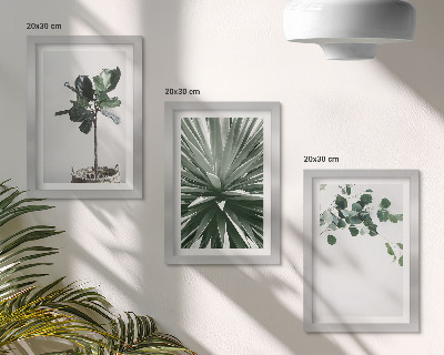 3 paveikslų rinkinys su rėmais Žalieji augalai minimalistiniu stiliumi