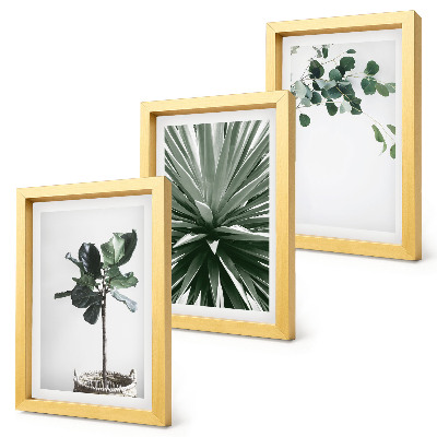 3 paveikslų rinkinys su rėmais Žalieji augalai minimalistiniu stiliumi