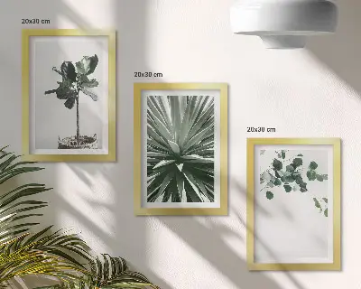Žalieji augalai minimalistiniu stiliumi 3 paveikslų rinkinys su rėmais